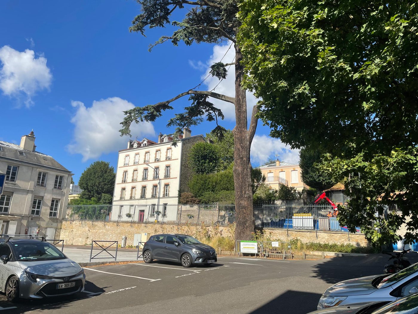 Les branches basses se dessèchent — le Cèdre Impérial de Meudon