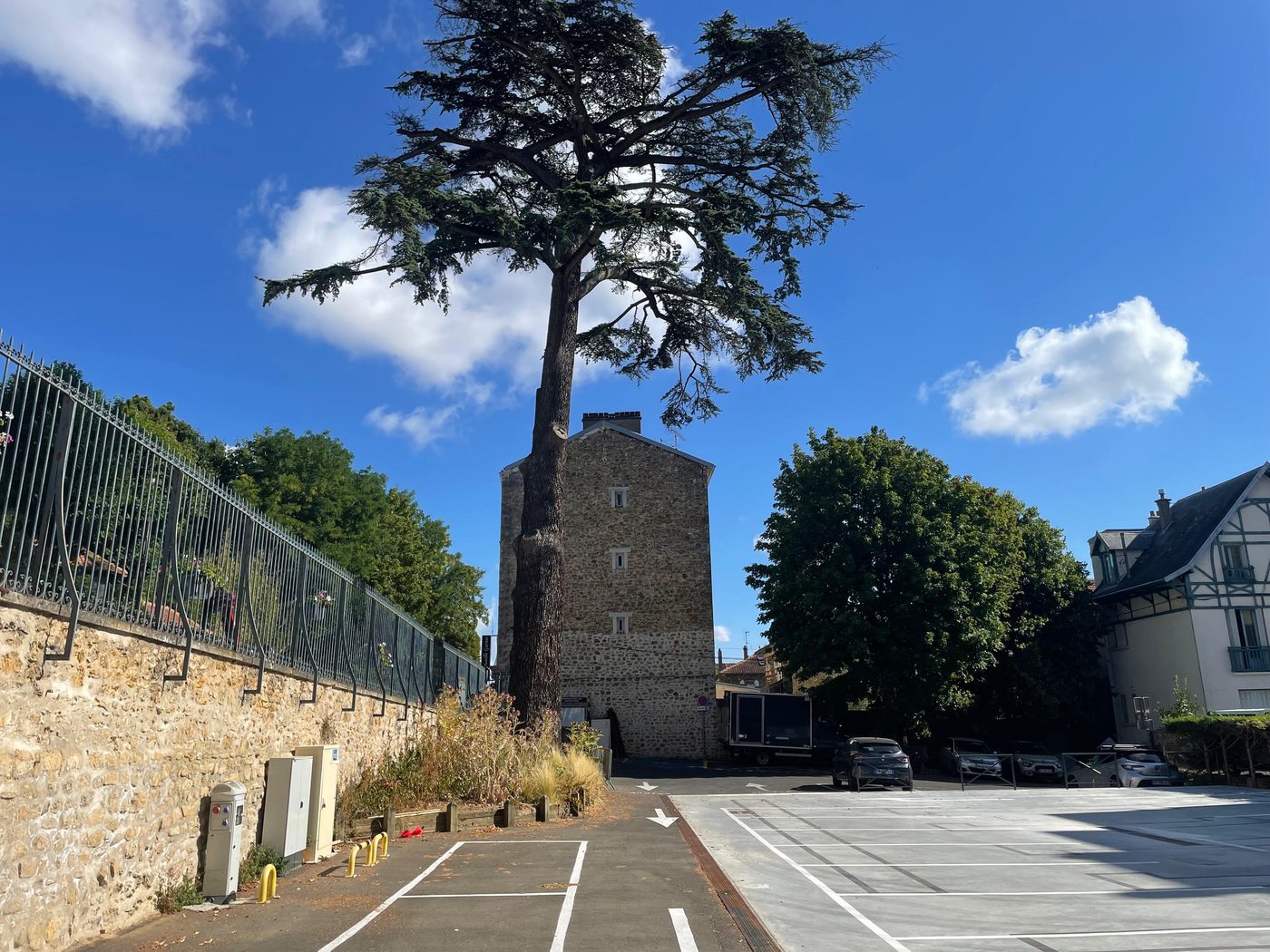 Le Cèdre en bordure du parking neuf — le Cèdre Impérial de Meudon