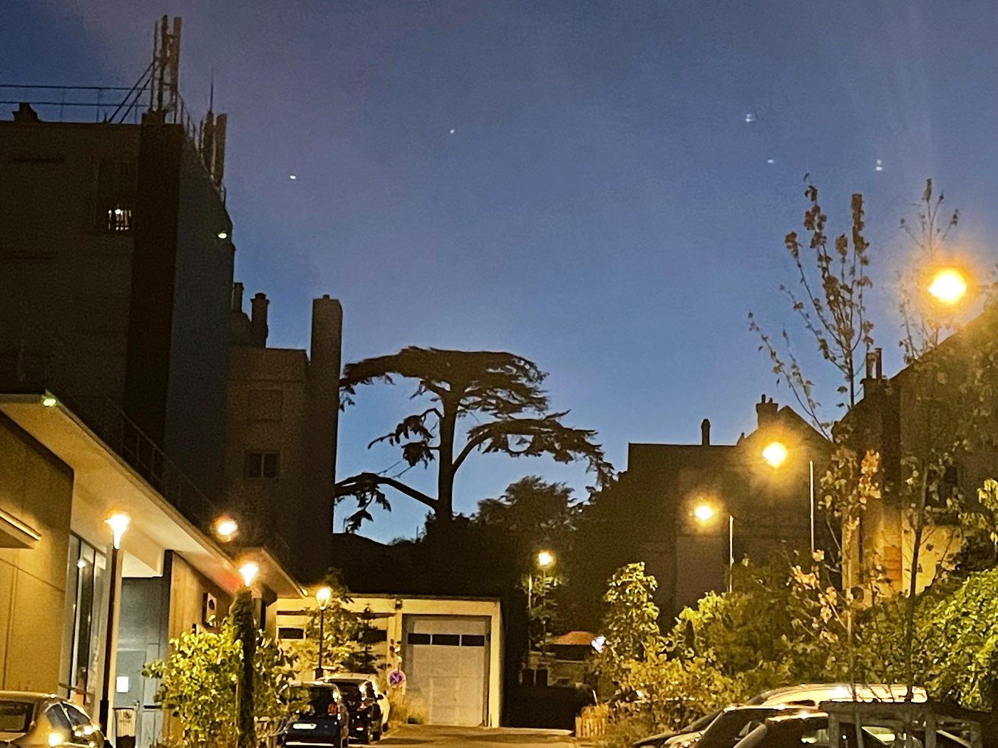 La silhouette du Cèdre à la tombée de la nuit
