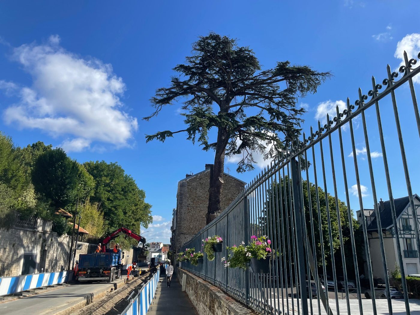 Travaux au pied du Cèdre — le Cèdre Impérial de Meudon