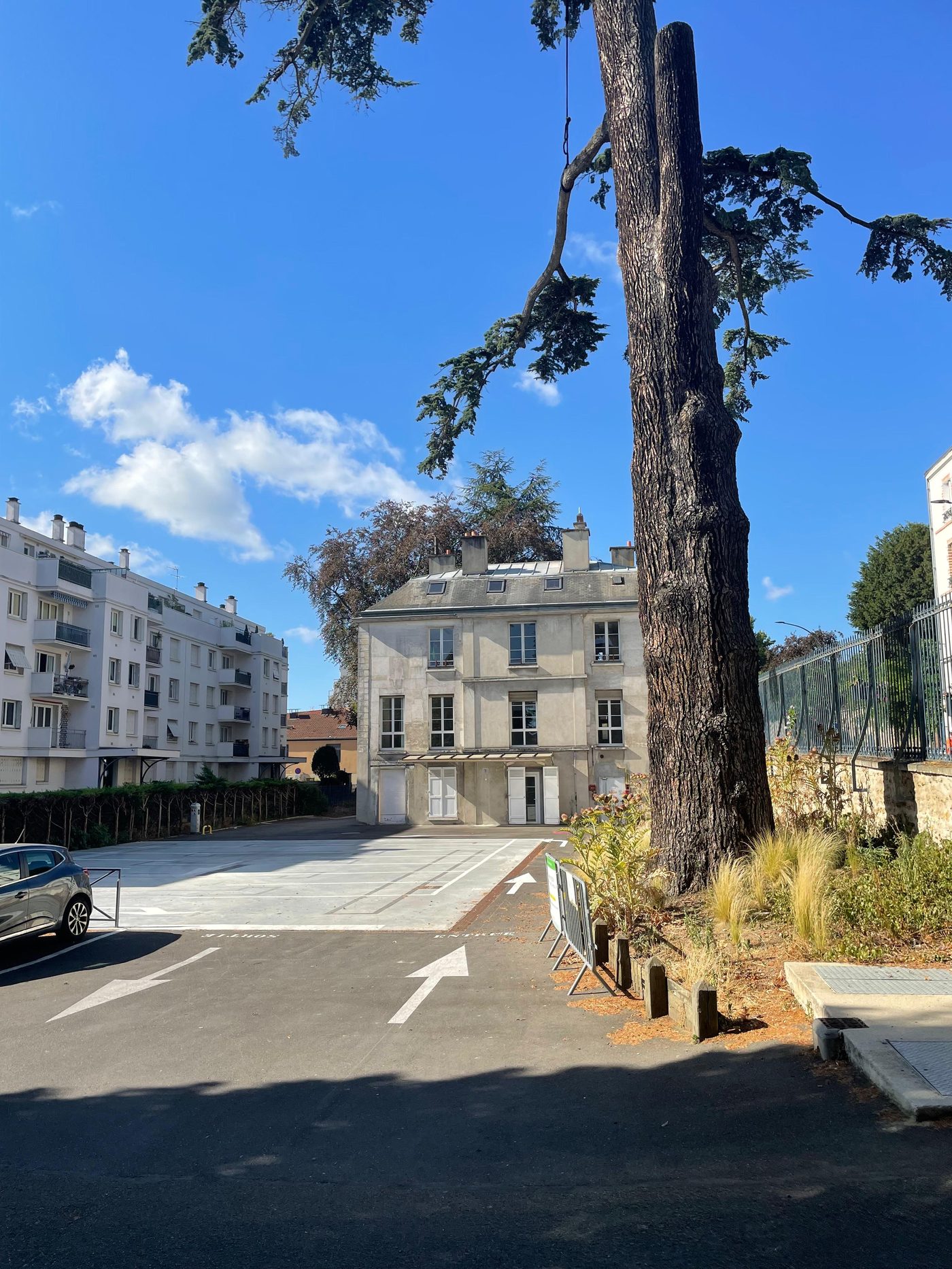 Le Cèdre depuis la place — le Cèdre Impérial de Meudon