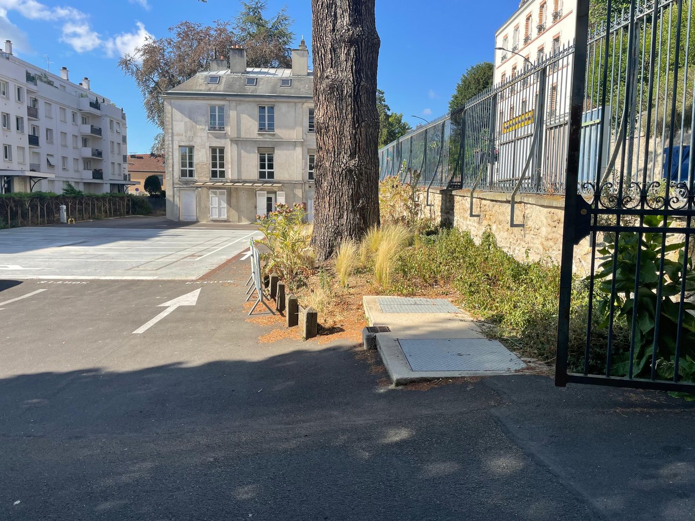 Au pied de l’arbre : une étroite bande de terre — le Cèdre Impérial de Meudon