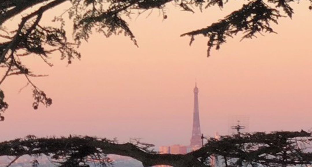 La Tour Eiffel vue depuis Meudon