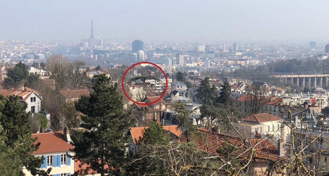 Le centre de Meudon et le Cèdre