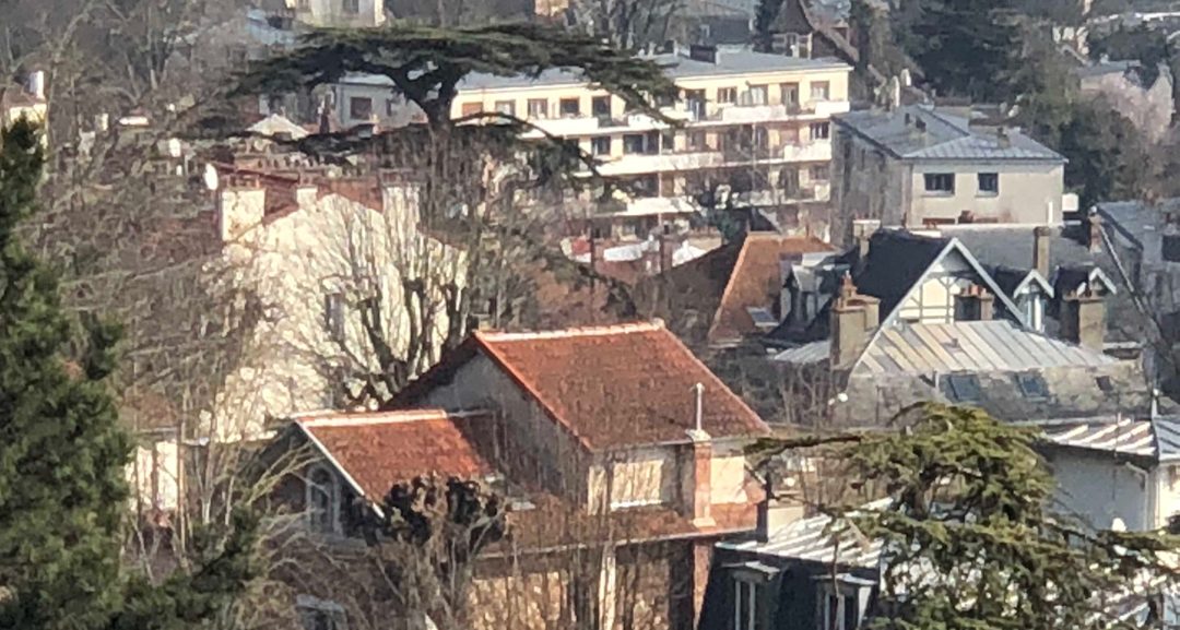 Le Cèdre et les villas anciennes de Meudon