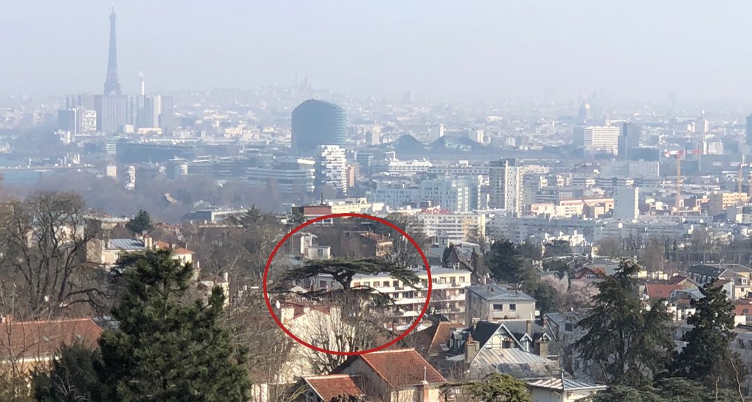 Paris, Issy-les-Moulineaux et le Cèdre Impérial
