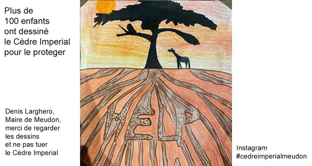 Dessin d’enfant : un cèdre en ombre chinoise sur un ciel orange, une girafe à son pied, et le mot HELP inscrit dans les racines