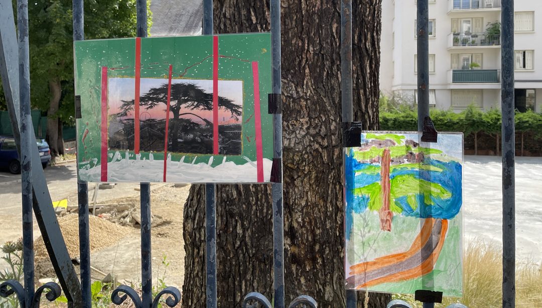 Dessins d’enfants pour protéger le Cèdre Impérial