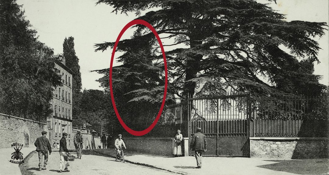 La propriété vers 1900 — le Cèdre Impérial de Meudon