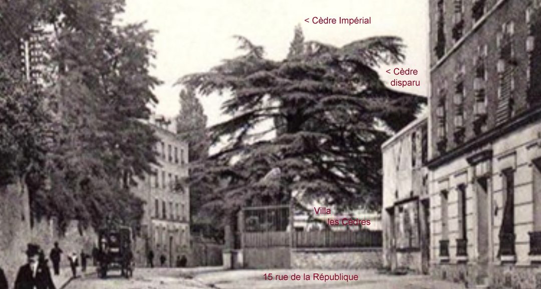 Carte postale ancienne de la rue de la République à Meudon, annotée pour situer le Cèdre Impérial, un cèdre aujourd’hui disparu et la Villa les Cèdres