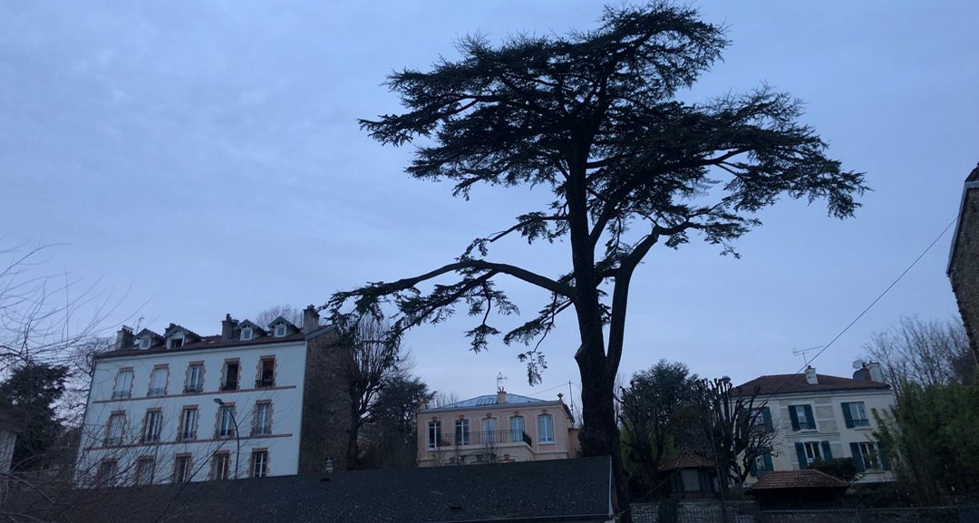 Fin de journée, rue de la République