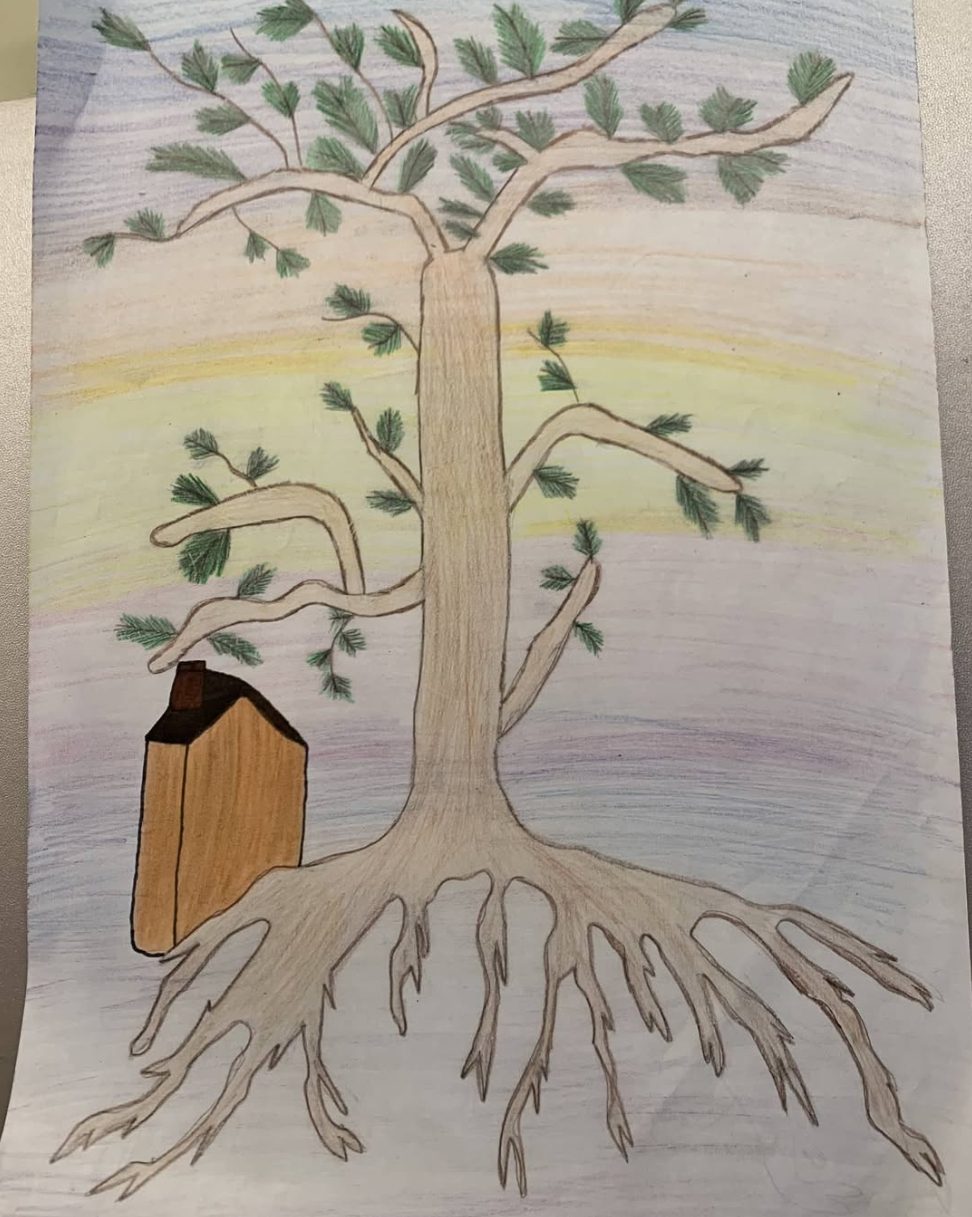 Eine Zeichnung mit Buntstiften: ein Baum mit hellem Stamm und grünen Blättern, eine kleine offene Tür im Stamm und lange, ausgebreitete Wurzeln unter einem gelben Himmel