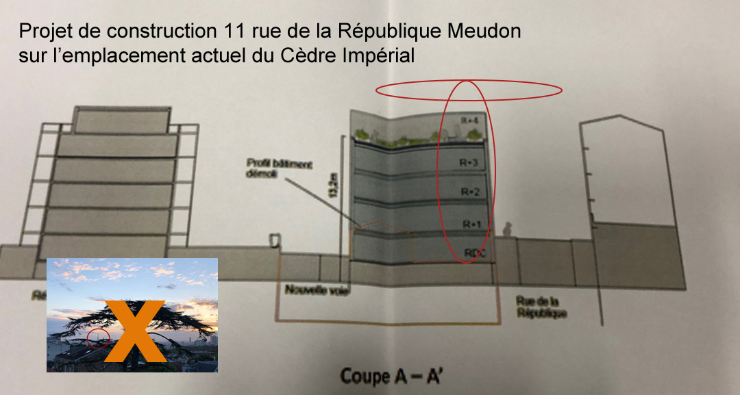 projet construction 11 rue de la République à Meudon